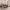 https://res.cloudinary.com/billionhands/image/upload/v1780580460/items/dusijq7ka6hlzhb66ec5.jpg-2cover