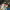 https://res.cloudinary.com/billionhands/image/upload/v1780584195/items/xissgusqyjd41avqsirm.avif-2cover