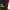 https://res.cloudinary.com/billionhands/image/upload/v1780584893/items/b7twv2jnonokg4gxvahm.jpg-1cover