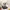 https://res.cloudinary.com/billionhands/image/upload/v1780586481/items/inqumzglhwazvpzdrnpa.webp-2cover