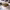 https://res.cloudinary.com/billionhands/image/upload/v1780589730/items/uqnm2boi6du4ymahef1a.webp-1cover