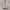https://res.cloudinary.com/billionhands/image/upload/v1780590969/items/xoly7whkkhoombh4chqp.jpg-2cover