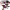 https://res.cloudinary.com/billionhands/image/upload/v1780591051/items/ehbwkth7j8bvhhyxhbym.webp-2cover