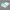 https://res.cloudinary.com/billionhands/image/upload/v1780601114/items/scuq9b47vafzziubrrc4.webp-0cover
