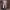 https://res.cloudinary.com/billionhands/image/upload/v1780601280/items/ql1nuac7icn1ir0viscf.jpg-0cover