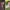 https://res.cloudinary.com/billionhands/image/upload/v1780601631/items/dgnoc1jqetm1hnsfs1j6.webp-1cover
