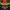 https://res.cloudinary.com/billionhands/image/upload/v1780604611/items/fbqmmilhjibkdiork7cp.webp-3cover
