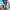 https://res.cloudinary.com/billionhands/image/upload/v1780606619/items/t6higdslfvmyaf6djjgk.webp-0cover