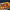 https://res.cloudinary.com/billionhands/image/upload/v1780608198/items/hyygiykkkd7v1f55m6os.webp-1cover