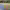 https://res.cloudinary.com/billionhands/image/upload/v1780610377/items/n2uo7epdqrtfizutoued.webp-3cover