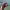 https://res.cloudinary.com/billionhands/image/upload/v1780615614/items/prdxuhg0maeso83dunze.webp-0cover