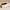 https://res.cloudinary.com/billionhands/image/upload/v1780615622/items/diwjn6l1wtl2jnl6enfy.webp-0cover