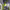 https://res.cloudinary.com/billionhands/image/upload/v1780616773/items/x4tpgownz4ybun8u17x8.jpg-1cover