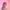 Bloom cover