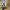 https://res.cloudinary.com/billionhands/image/upload/v1780618054/items/imfyqizeaplkefagck44.jpg-2cover