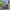 https://res.cloudinary.com/billionhands/image/upload/v1780618566/items/alvbutir1k2uegrqghlb.jpg-1cover