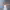 https://res.cloudinary.com/billionhands/image/upload/v1780619139/items/r5lm8a47ydmhftyfb9rj.jpg-2cover