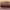 https://res.cloudinary.com/billionhands/image/upload/v1780625451/items/vm8bdsqj3yti5i9kympa.webp-2cover