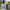 https://res.cloudinary.com/billionhands/image/upload/v1780627289/items/budztqdkrgdjbhyelez2.webp-1cover