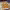 https://res.cloudinary.com/billionhands/image/upload/v1780630130/items/scp8exearxi0xxmfehfb.webp-0cover