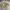 https://res.cloudinary.com/billionhands/image/upload/v1780630137/items/qbwienoa6ry1iug3trsf.jpg-0cover