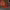 https://res.cloudinary.com/billionhands/image/upload/v1780631074/items/botnujm2qdtcjp1bilx3.png-2cover