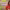 https://res.cloudinary.com/billionhands/image/upload/v1780631085/items/vdopungclfjoajr7zdo6.jpg-2cover