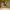 https://res.cloudinary.com/billionhands/image/upload/v1780632384/items/rsblydxiidwwuxhntrsz.jpg-2cover