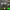 https://res.cloudinary.com/billionhands/image/upload/v1780633103/items/r799ubrie33szqki0ef7.jpg-0cover