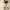 https://res.cloudinary.com/billionhands/image/upload/v1780633620/items/loenaghjbk6xcrfbwj2a.jpg-1cover