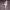 https://res.cloudinary.com/billionhands/image/upload/v1780634589/items/fyliupwitnwwv7kkaw08.jpg-1cover
