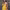 https://res.cloudinary.com/billionhands/image/upload/v1780634792/items/tfkk6hjhpkgwdthkgbaf.avif-2cover