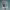 https://res.cloudinary.com/billionhands/image/upload/v1780636936/items/w3zfprykigknwddqpe6e.jpg-3cover