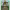 https://res.cloudinary.com/billionhands/image/upload/v1780637508/items/ltw4brr9umqg6cskkcwq.webp-0cover