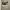 https://res.cloudinary.com/billionhands/image/upload/v1780637510/items/oyadoyhjmjpnna7p5hhk.jpg-3cover
