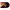 https://res.cloudinary.com/billionhands/image/upload/v1780637567/items/okzbkaq44xpjluoxiubg.webp-3cover