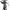 https://res.cloudinary.com/billionhands/image/upload/v1780637775/items/qpkdyo5kw7i8nmchlvs8.webp-0cover