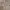 https://res.cloudinary.com/billionhands/image/upload/v1780637985/items/vxhyqmpf39l75fcqkjyu.jpg-3cover