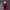 https://res.cloudinary.com/billionhands/image/upload/v1780638204/items/jkgc7dudwizeprfevduf.webp-0cover