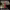 https://res.cloudinary.com/billionhands/image/upload/v1780638338/items/pvw8v1qwxirydjlxvjq1.jpg-2cover