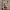 https://res.cloudinary.com/billionhands/image/upload/v1780639768/items/rzdf5glrsnnzvfy2qekw.jpg-3cover