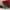 https://res.cloudinary.com/billionhands/image/upload/v1780639927/items/qjcyhhgle0obozu3lhhp.webp-1cover