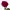 https://res.cloudinary.com/billionhands/image/upload/v1780639929/items/rav6pswijldz3uuenz8l.webp-2cover