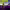 https://res.cloudinary.com/billionhands/image/upload/v1780640426/items/ycgpapfmrkituag5usge.jpg-1cover