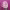 Pink Promise cover