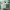 https://res.cloudinary.com/billionhands/image/upload/v1780641555/items/jppqkj56yf336ct9qguy.jpg-3cover
