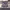 https://res.cloudinary.com/billionhands/image/upload/v1780641557/items/jzxtpi5ijmsnzbvwjprs.jpg-3cover