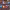 https://res.cloudinary.com/billionhands/image/upload/v1780641637/items/vmpknzuhkp7z61dksht6.png-2cover