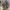 https://res.cloudinary.com/billionhands/image/upload/v1780641942/items/bge278y5kxbmucusized.avif-3cover
