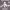 https://res.cloudinary.com/billionhands/image/upload/v1780642381/items/frqyb5omfyeo7smkqs0d.jpg-1cover